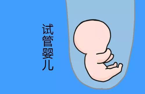 瑞柏国际医院